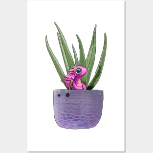 Hanging Aloe Planter Dragon Baby Posters and Art